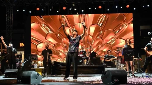 Altay Menajeri İletişim 0532 206 59 59