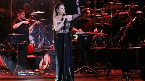 Linet Menajeri İletişim 0532 206 59 59